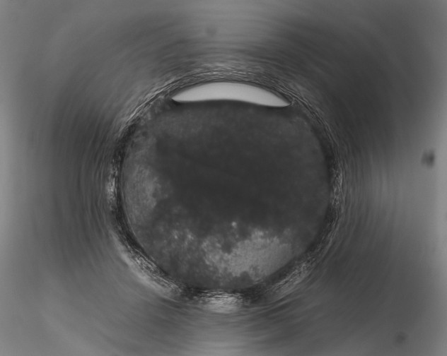 X0000116120456200912071350