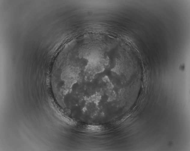 X0000116120457200912071350