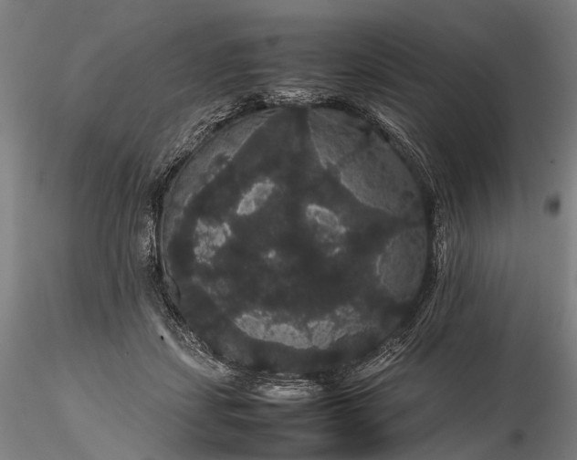 X0000116120459200912071350