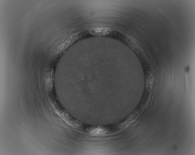 X0000116120460200912071350