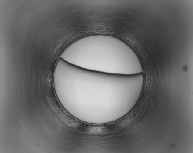 X0000116120461200912071350