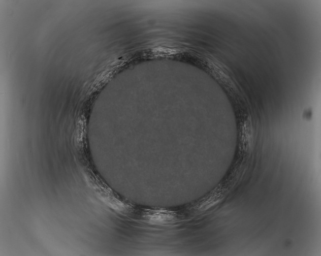 X0000116120463200912071350