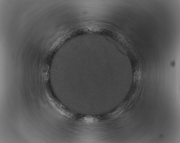 X0000116120464200912071350