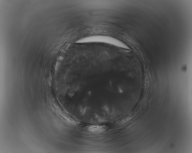 X0000116120465200912071350