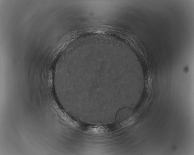 X0000116120466200912071350