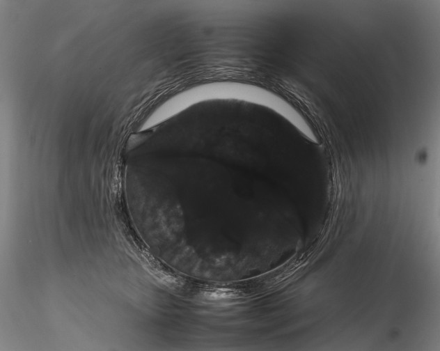 X0000116120467200912071350