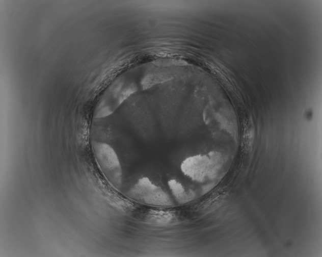 X0000116120469200912071350