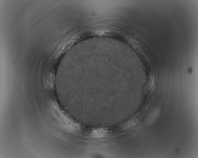 X0000116120470200912071350