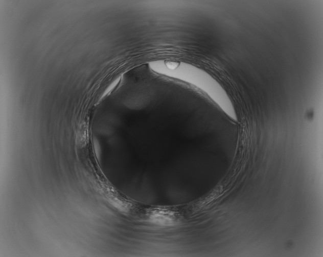 X0000116120471200912071350