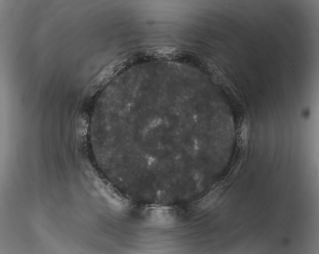 X0000116120472200912071350