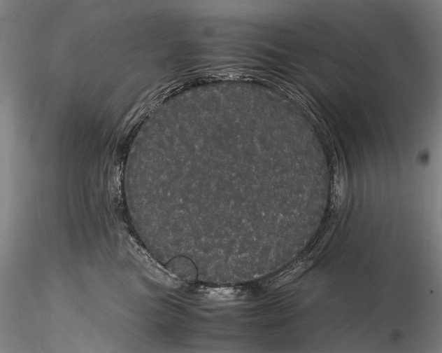 X0000116120473200912071350