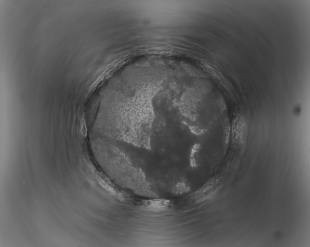 X0000116120474200912071350