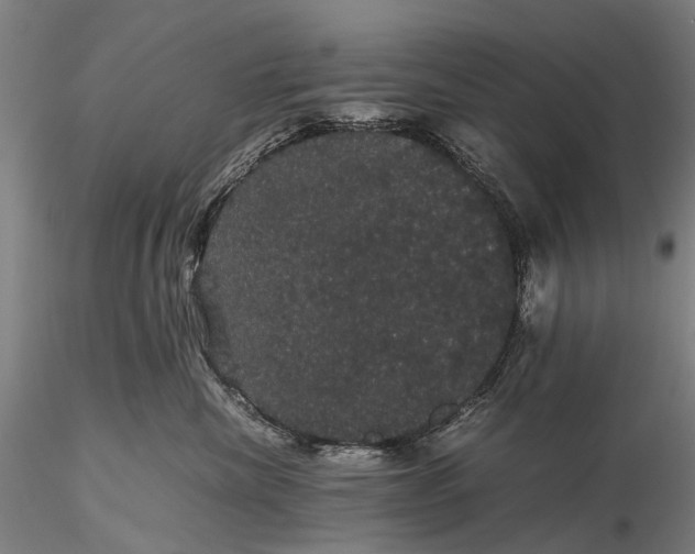 X0000116120476200912071350