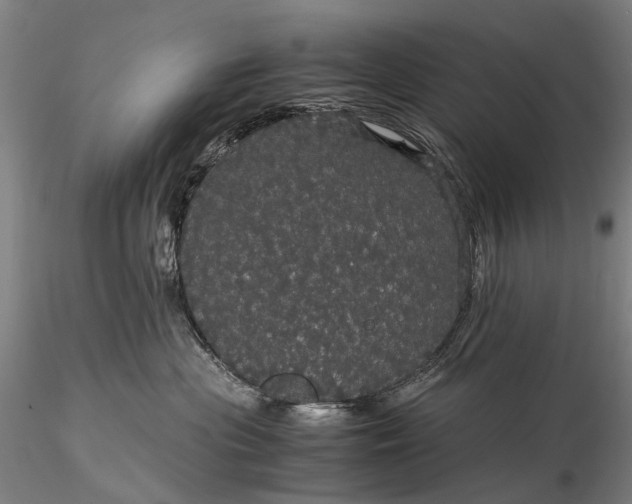 X0000116120477200912071350