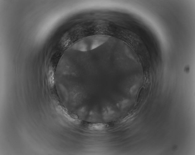 X0000116120479200912071350