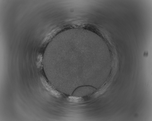 X0000116120480200912071350