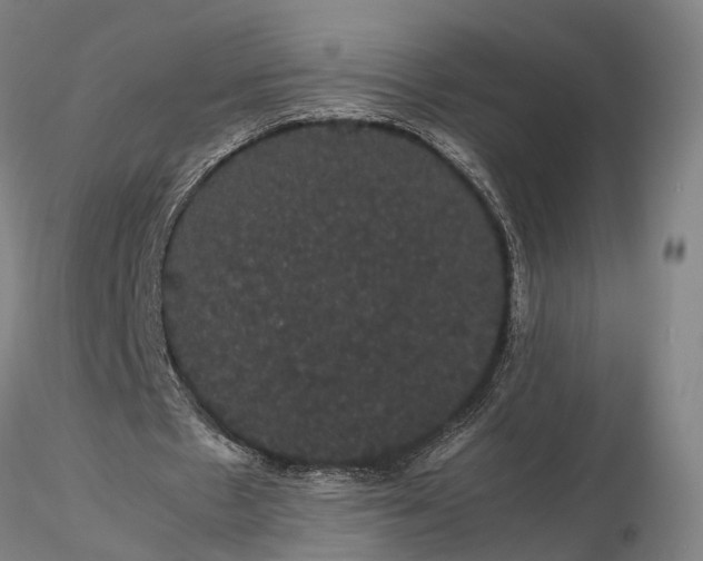 X0000116120481200912071349