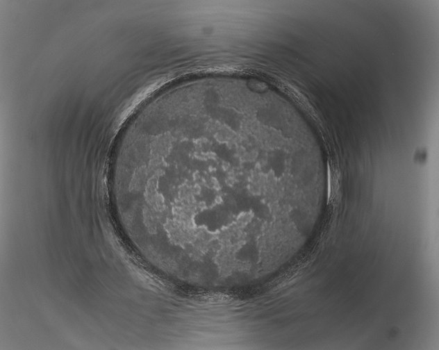 X0000116120483200912071349