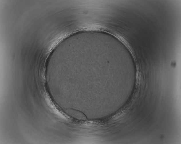 X0000116120485200912071349