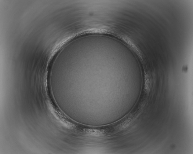 X0000116120486200912071349