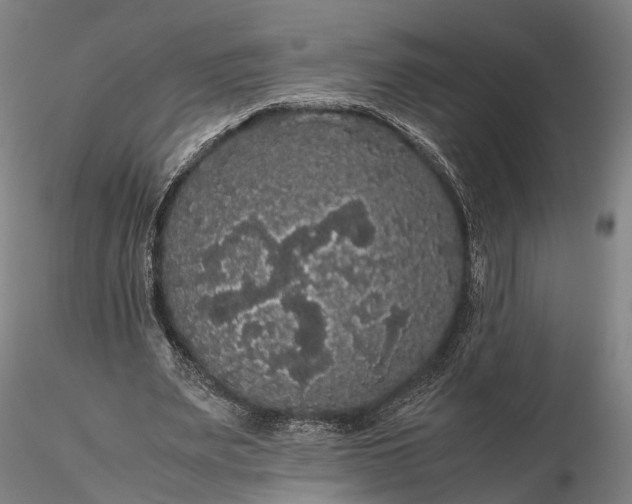 X0000116120487200912071349