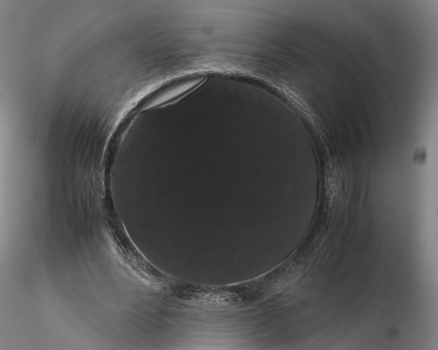 X0000116120488200912071349