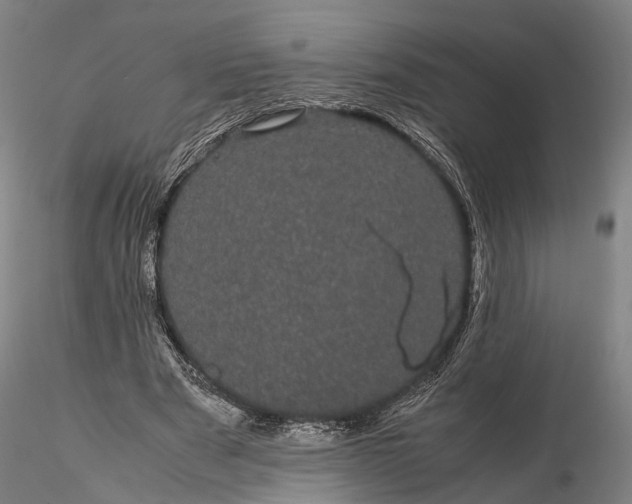 X0000116120489200912071349