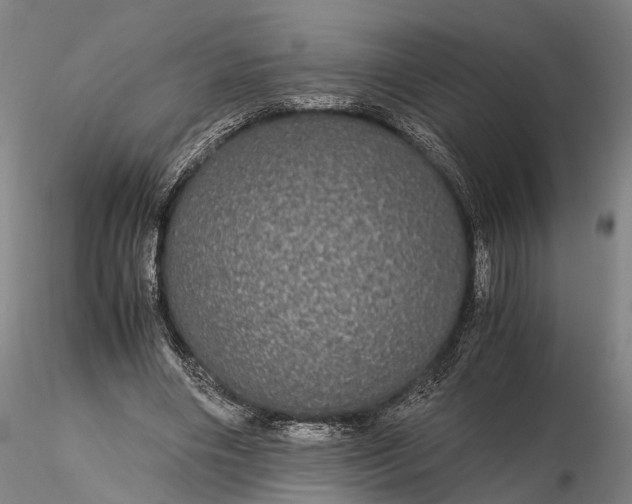 X0000116120490200912071349