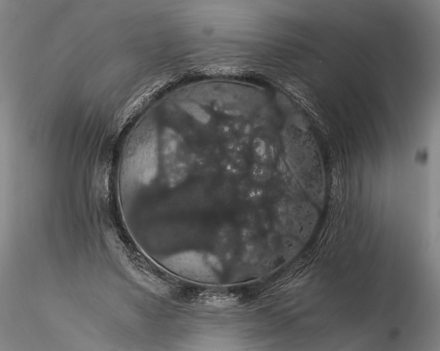 X0000116120491200912071349