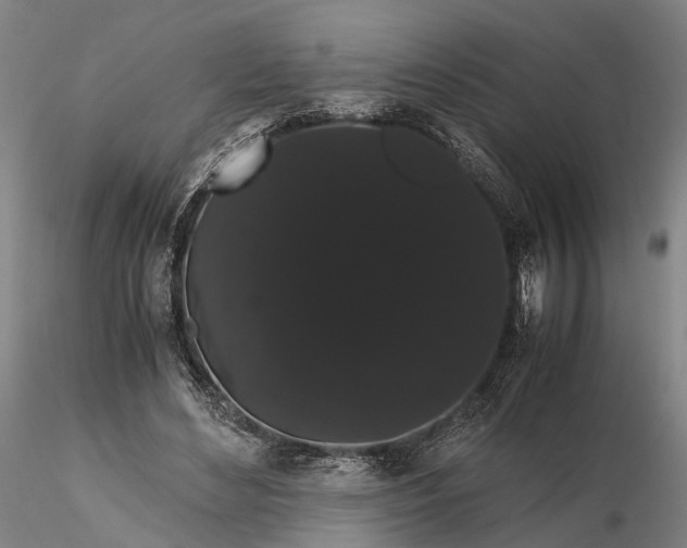 X0000116120492200912071349