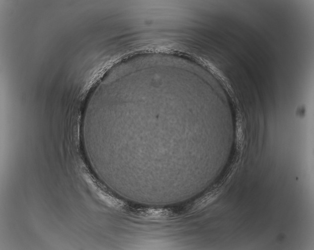 X0000116120493200912071349