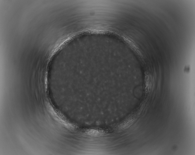 X0000116120494200912071349