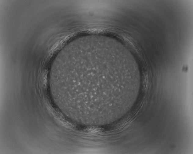 X0000116120495200912071349