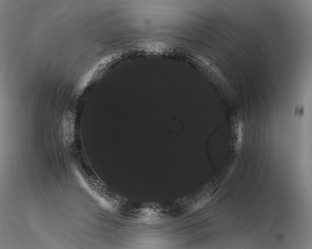 X0000116120496200912071349