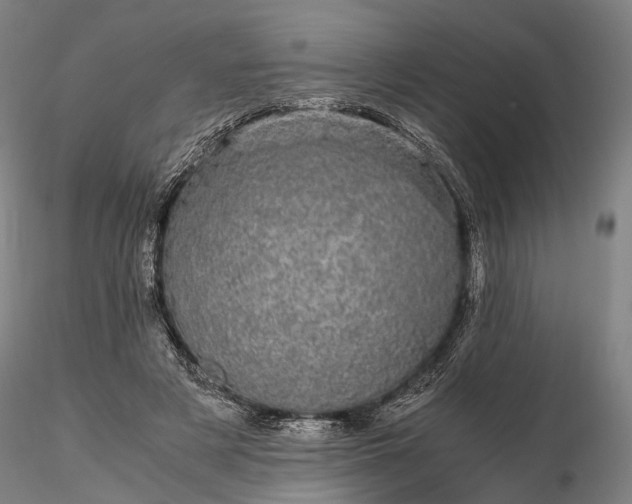 X0000116120497200912071349