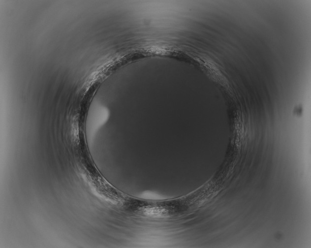 X0000116120500200912071349