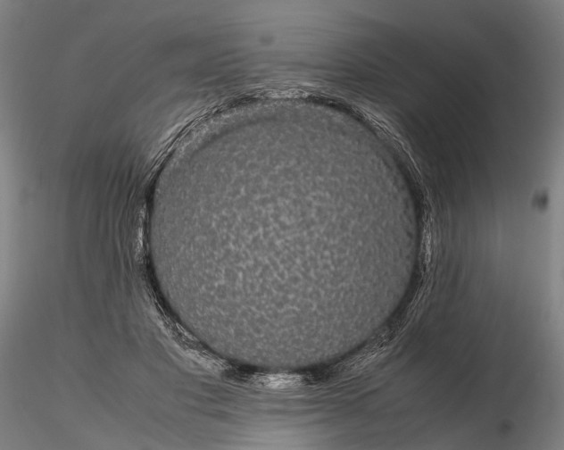 X0000116120501200912071349