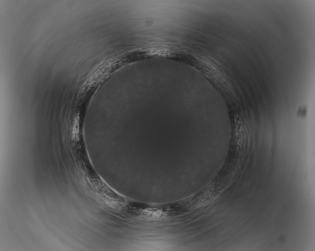 X0000116120502200912071349