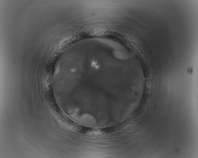 X0000116120503200912071349