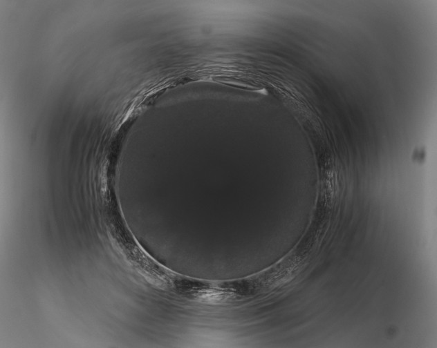 X0000116120504200912071349