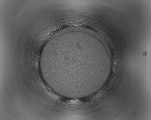 X0000116120505200912071349