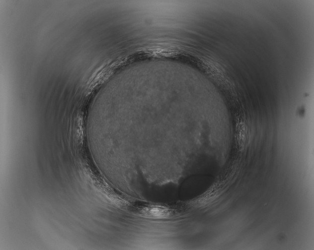 X0000116120506200912071349