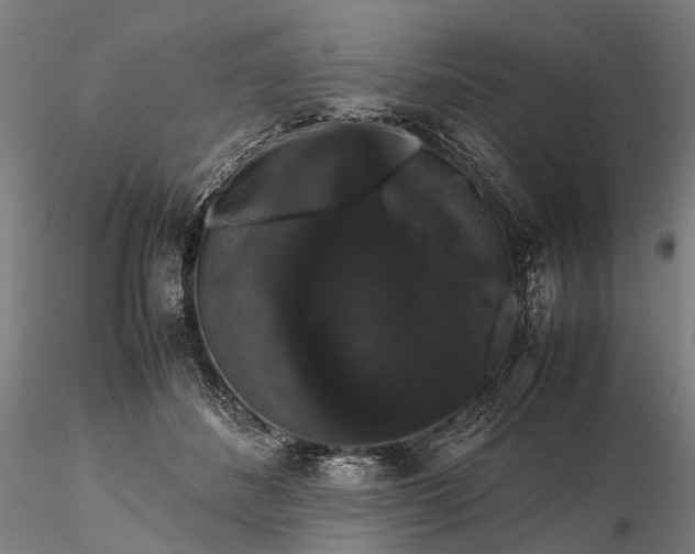 X0000116120508200912071349