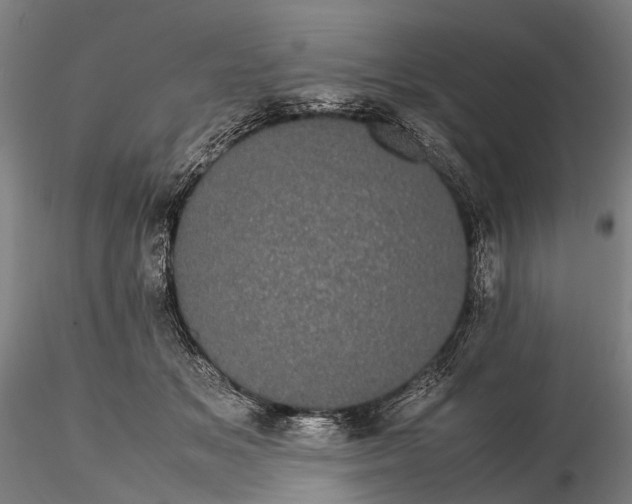 X0000116120509200912071349