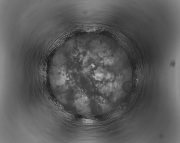 X0000116120510200912071349