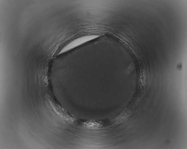 X0000116120512200912071349