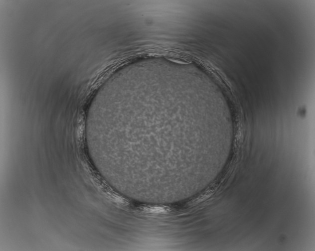 X0000116120513200912071349