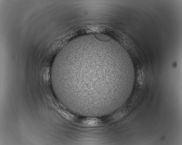 X0000116120514200912071349