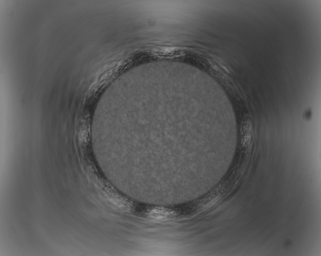 X0000116120515200912071349