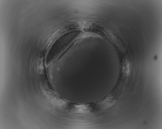 X0000116120516200912071349